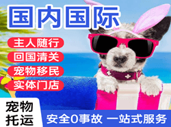 阿拉尔塔里木航空快递国际宠物托运 【国